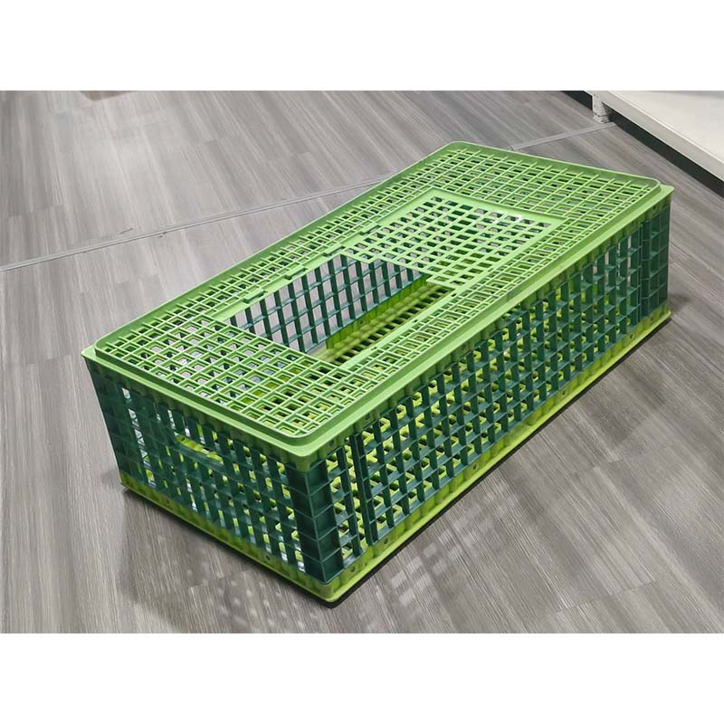 Molde de plástico para gallinero.