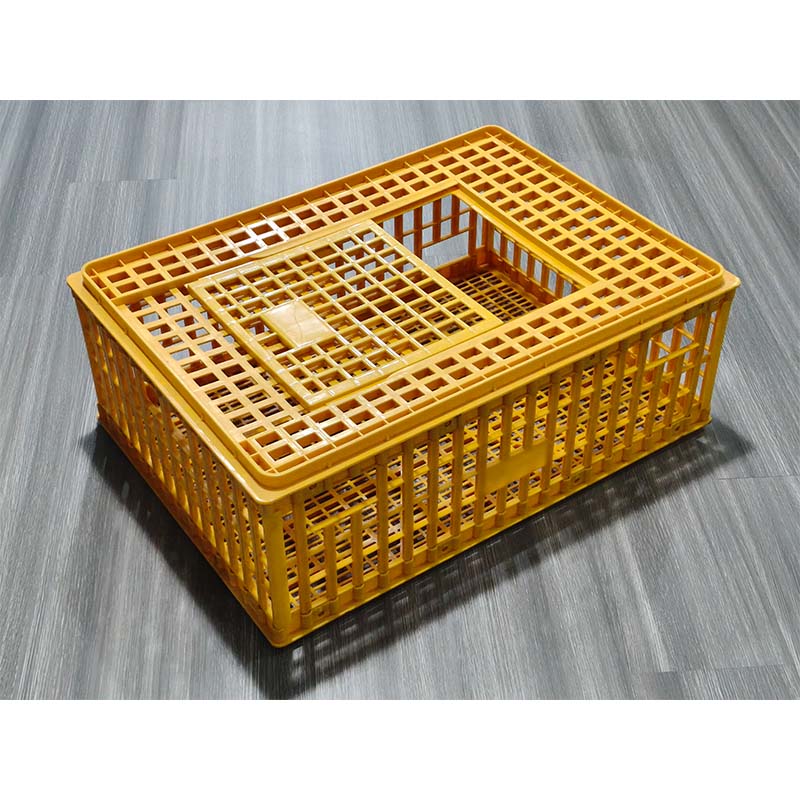 Molde de gallinero de inyección de plástico