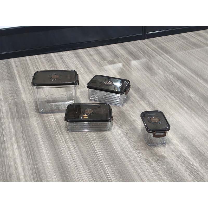 Molde de lonchera de inyección de plástico